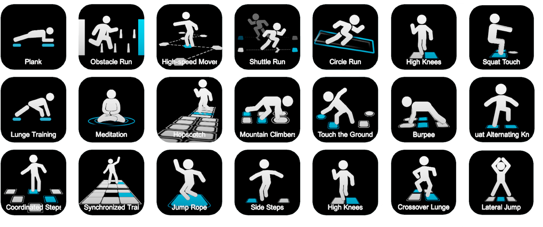 Sport & Physical Activity
